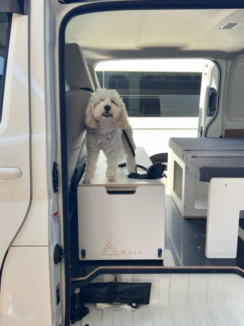 Toyota Hiace H300 ✅

Fited out with Surfbox 
Side cabinet 
Side kitchen 
Custom mattress 

#katatoyota